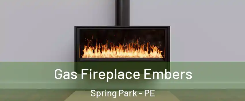  Gas Fireplace Embers Spring Park - PE