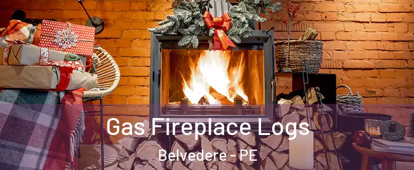  Gas Fireplace Logs Belvedere - PE