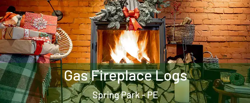  Gas Fireplace Logs Spring Park - PE
