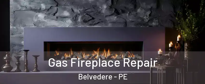  Gas Fireplace Repair Belvedere - PE
