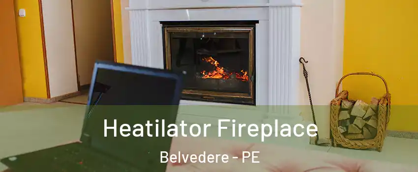  Heatilator Fireplace Belvedere - PE