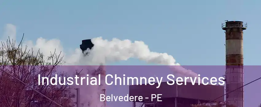  Industrial Chimney Services Belvedere - PE