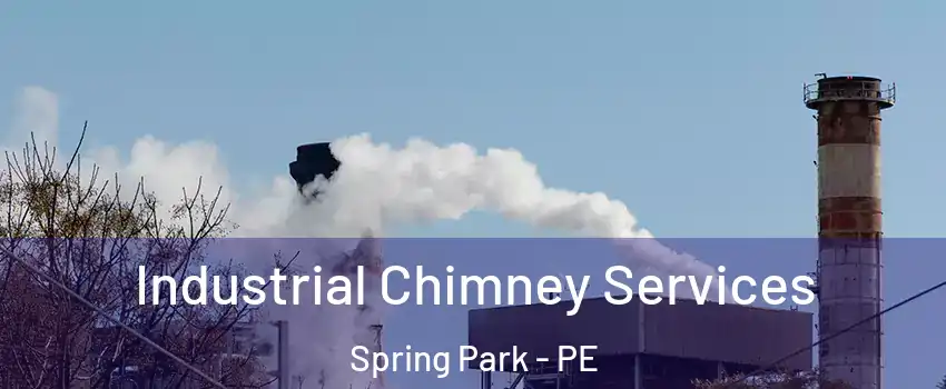  Industrial Chimney Services Spring Park - PE