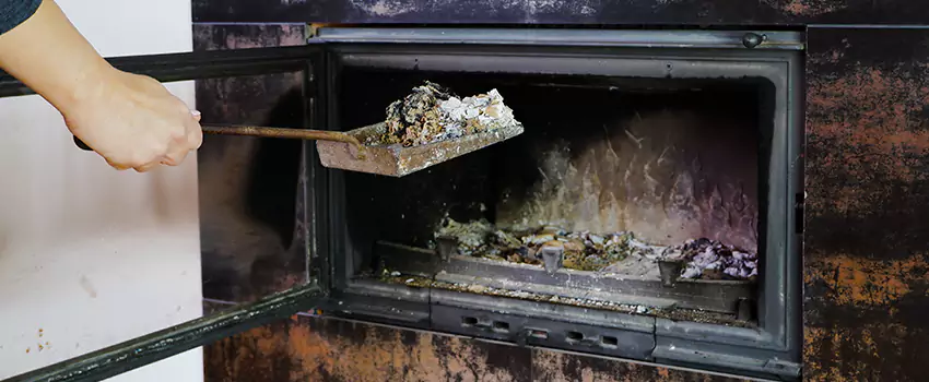 Wood Burning Chimney Odor Removal in Victoria Park, Prince Edward