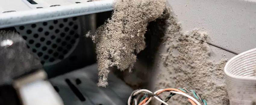 Clogged Dryer Vent Lint Cleaning in Victoria Park, Prince Edward