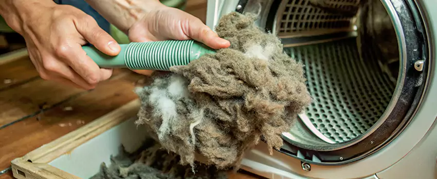 Best Dryer Lint Removal Company in Victoria Park, Prince Edward