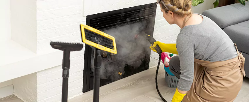 Fireplace Doors Cleaning in Victoria Park, Prince Edward