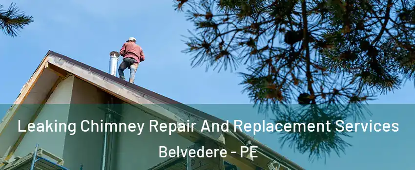  Leaking Chimney Repair And Replacement Services Belvedere - PE