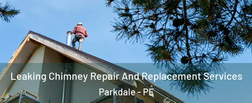  Leaking Chimney Repair And Replacement Services Parkdale - PE