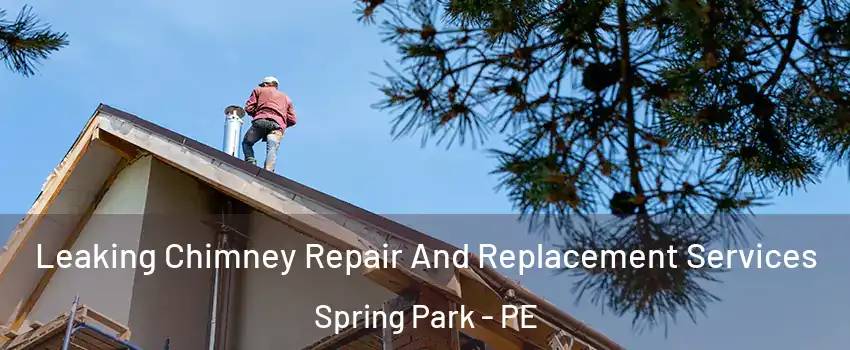  Leaking Chimney Repair And Replacement Services Spring Park - PE