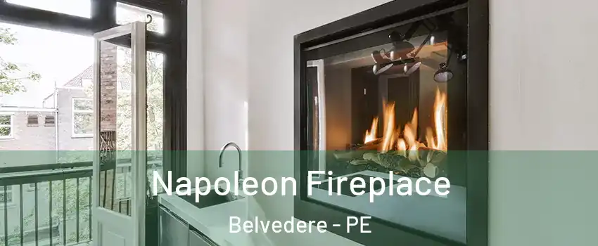  Napoleon Fireplace Belvedere - PE