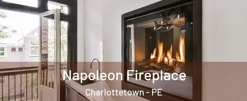  Napoleon Fireplace Charlottetown - PE