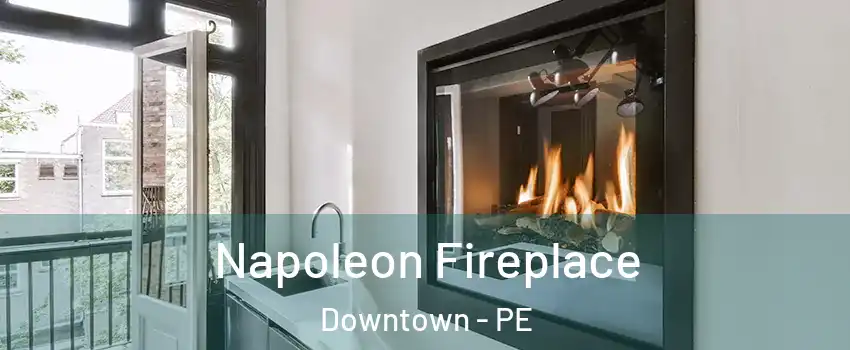  Napoleon Fireplace Downtown - PE