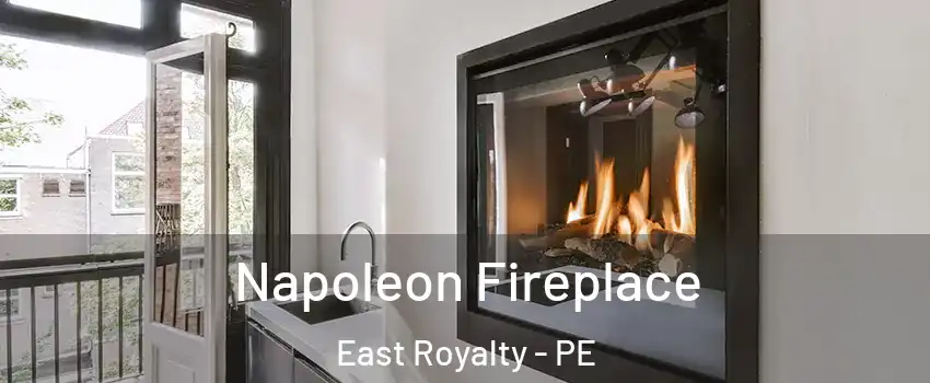  Napoleon Fireplace East Royalty - PE
