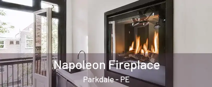  Napoleon Fireplace Parkdale - PE