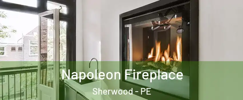  Napoleon Fireplace Sherwood - PE