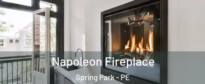  Napoleon Fireplace Spring Park - PE