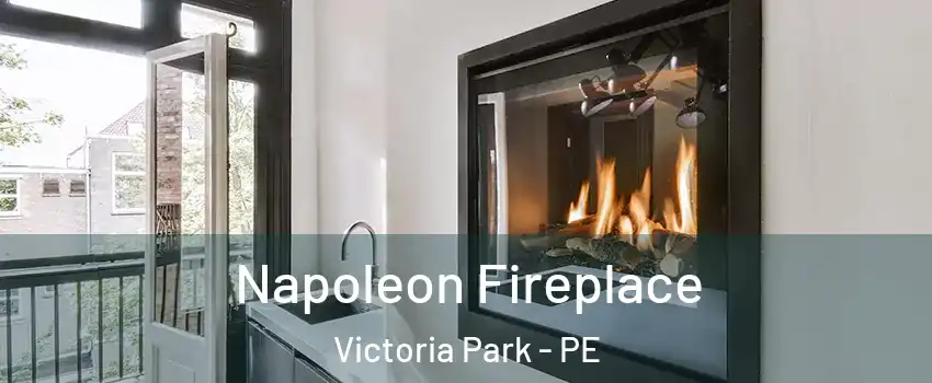  Napoleon Fireplace Victoria Park - PE