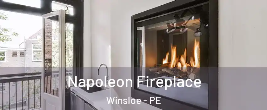  Napoleon Fireplace Winsloe - PE