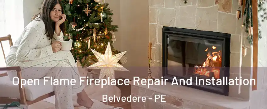  Open Flame Fireplace Repair And Installation Belvedere - PE