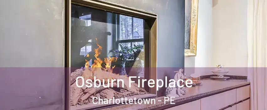  Osburn Fireplace Charlottetown - PE