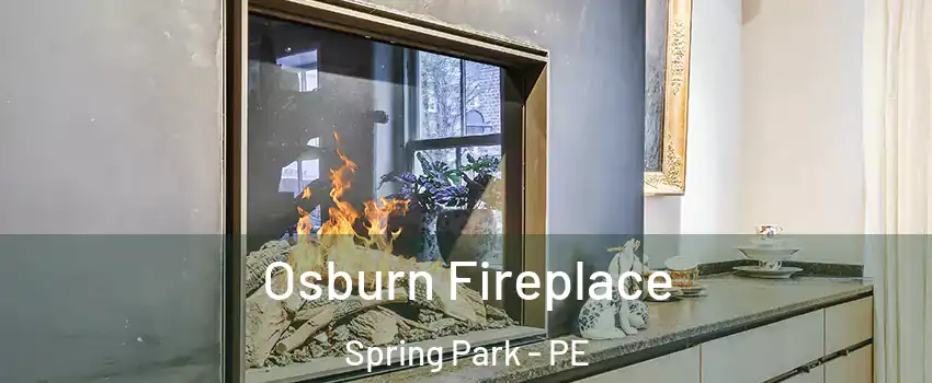  Osburn Fireplace Spring Park - PE