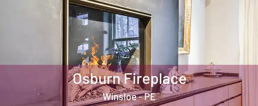  Osburn Fireplace Winsloe - PE