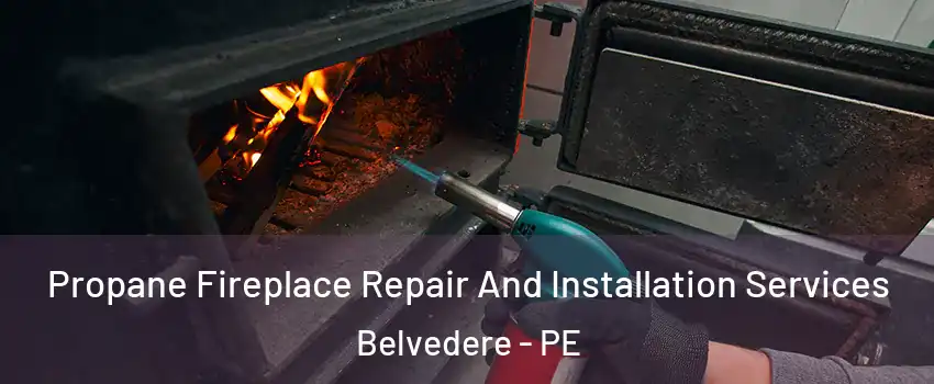 Propane Fireplace Repair And Installation Services Belvedere - PE