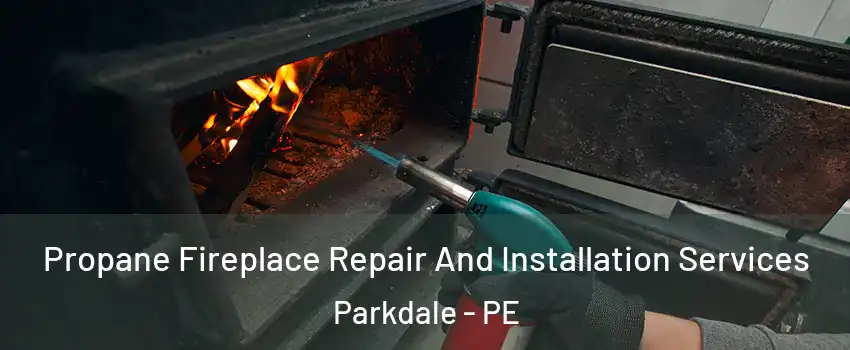 Propane Fireplace Repair And Installation Services Parkdale - PE
