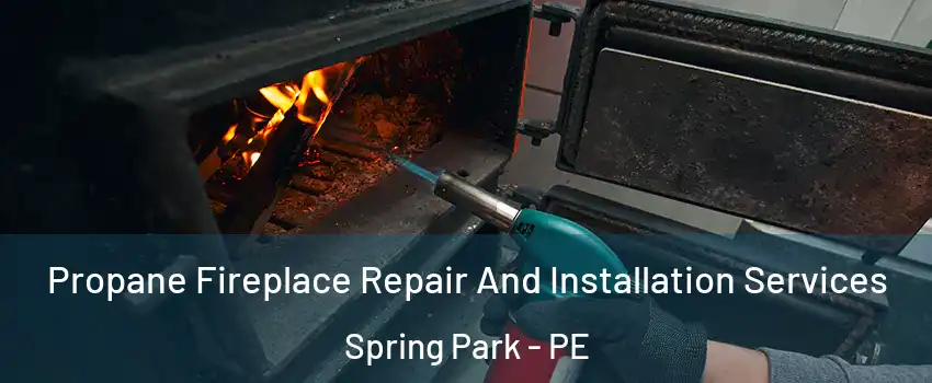 Propane Fireplace Repair And Installation Services Spring Park - PE