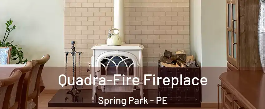  Quadra-Fire Fireplace Spring Park - PE
