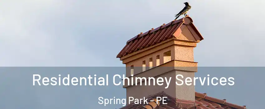  Residential Chimney Services Spring Park - PE