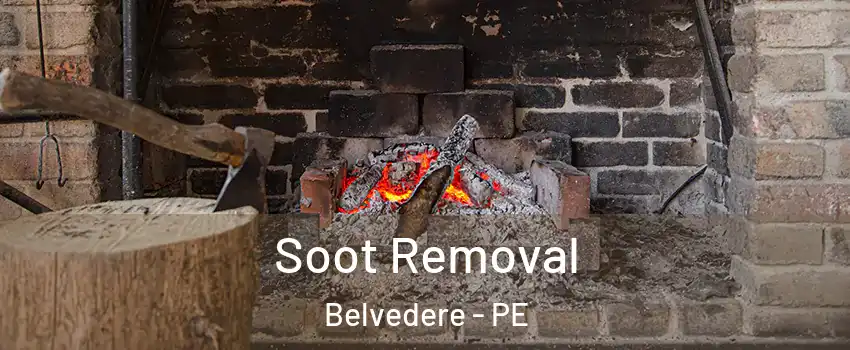  Soot Removal Belvedere - PE