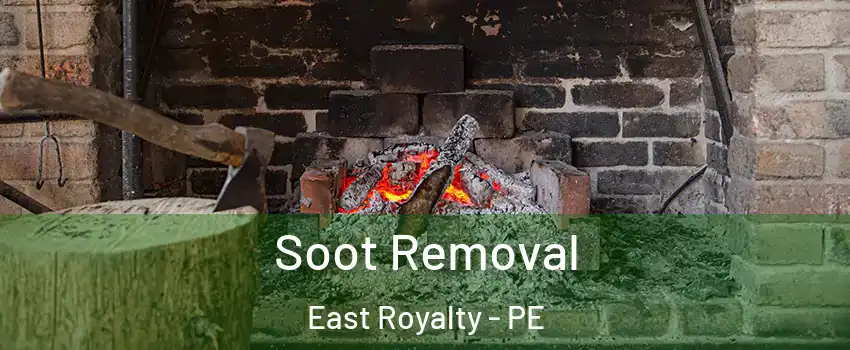  Soot Removal East Royalty - PE