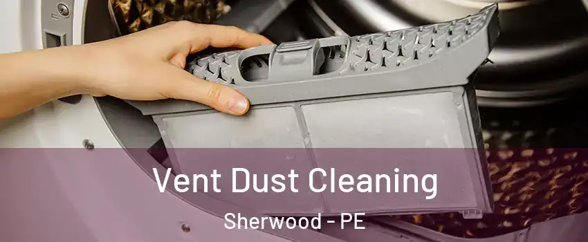  Vent Dust Cleaning Sherwood - PE