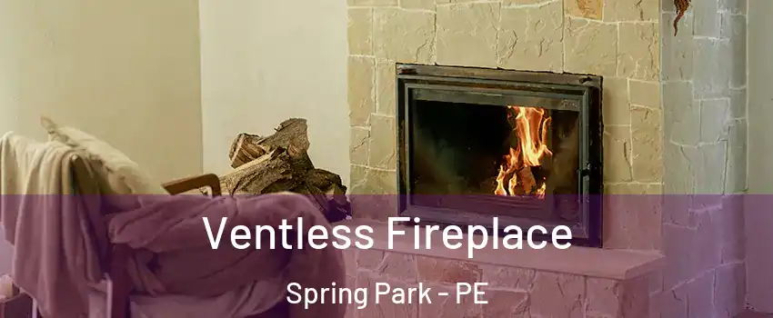  Ventless Fireplace Spring Park - PE