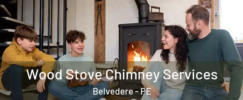  Wood Stove Chimney Services Belvedere - PE
