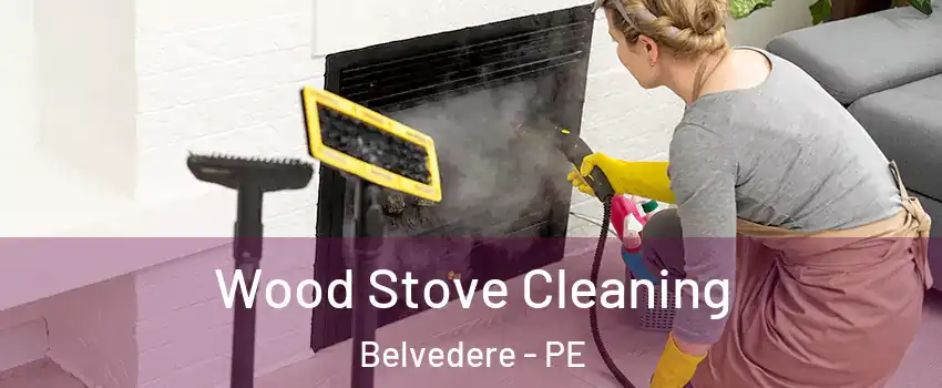 Wood Stove Cleaning Belvedere - PE