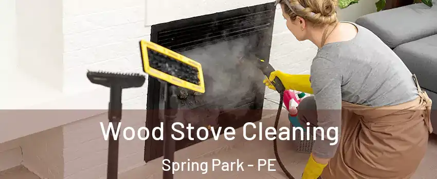  Wood Stove Cleaning Spring Park - PE