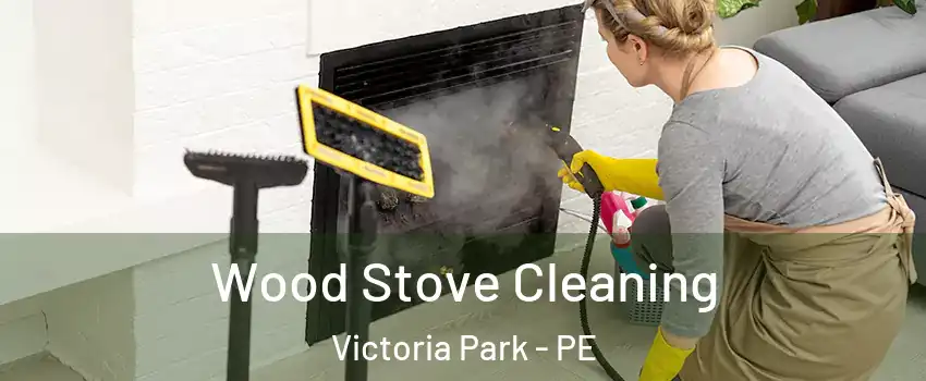  Wood Stove Cleaning Victoria Park - PE