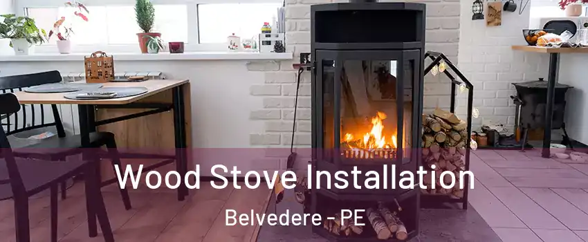  Wood Stove Installation Belvedere - PE