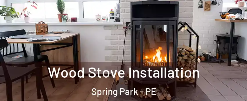  Wood Stove Installation Spring Park - PE