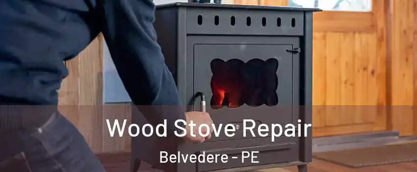  Wood Stove Repair Belvedere - PE